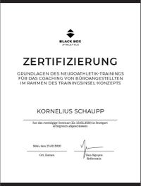 Zertifikat_Neurotraining_Kornelius Schaupp